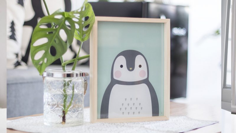 Meee contenido para redes